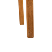 RIBU Tuintafel 300cm